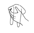 圖片2.png